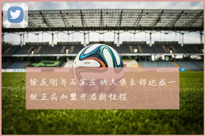 徐友刚与石家庄功夫俱乐部达成一致正式加盟开启新征程