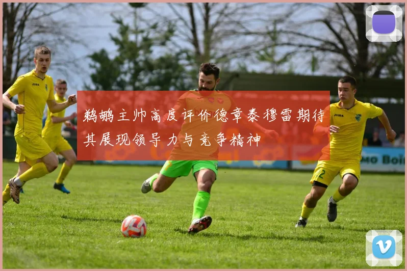 鹈鹕主帅高度评价德章泰穆雷期待其展现领导力与竞争精神