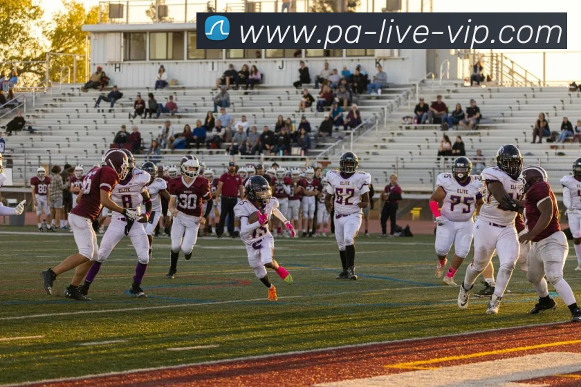 多媒体互动体验